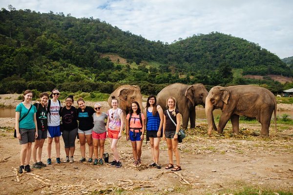 Froot Loops  Global Sanctuary for Elephants Shop