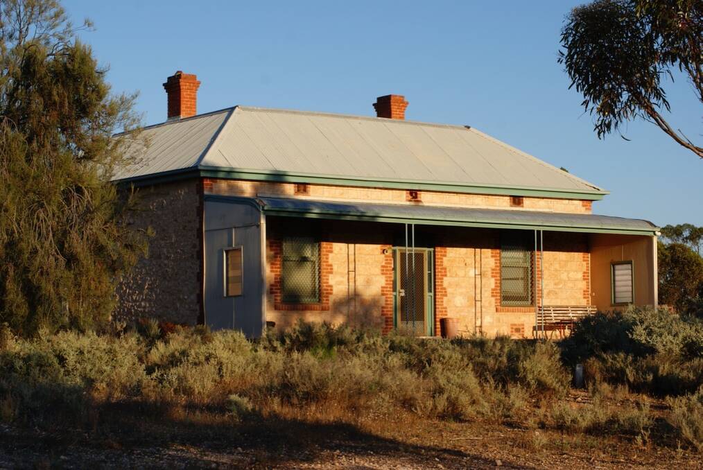 Wombat Conservation Go Overseas