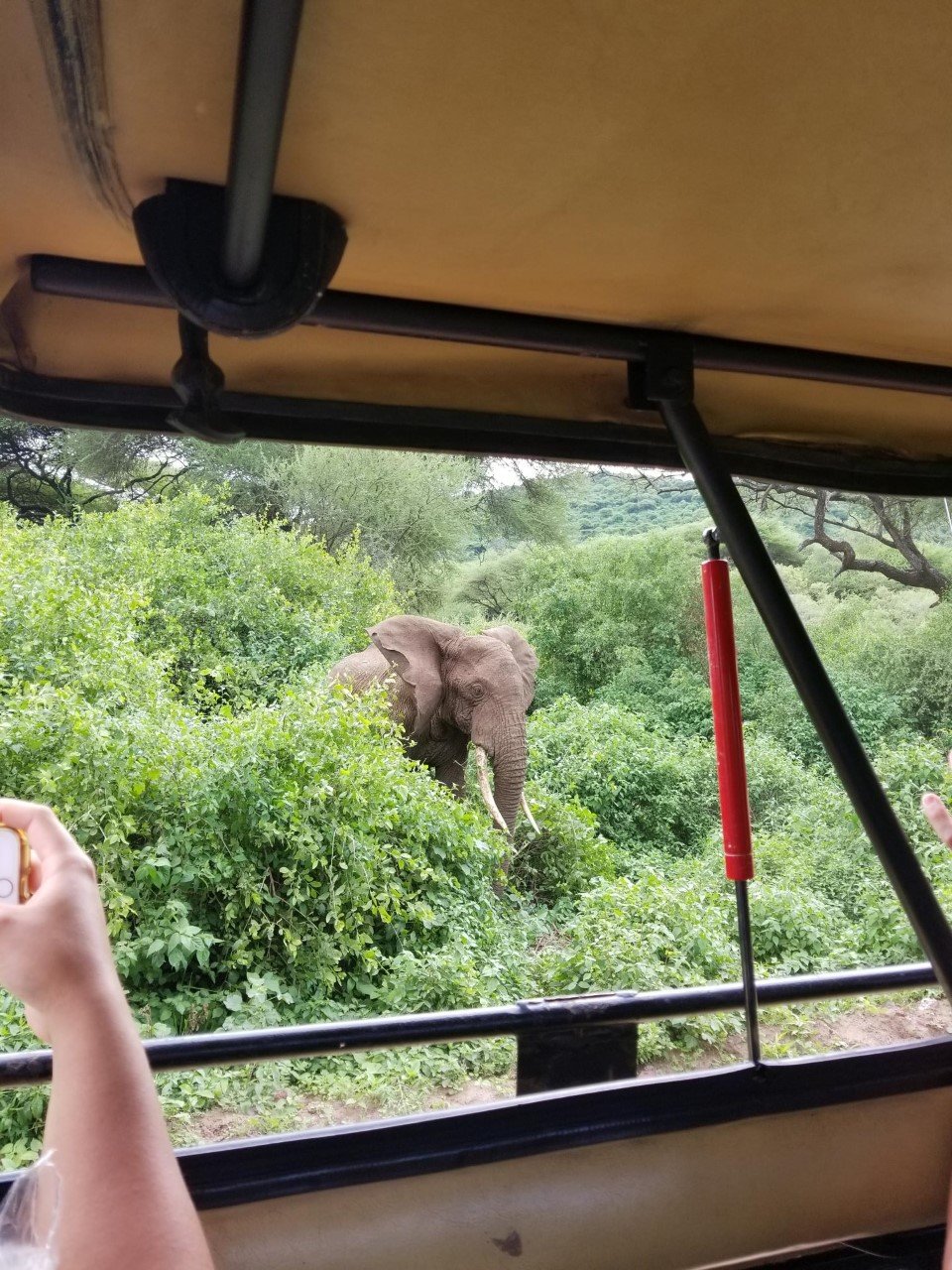 Give Tanzania Volunteer Excursion From Zanzibar To Kilimanjaro