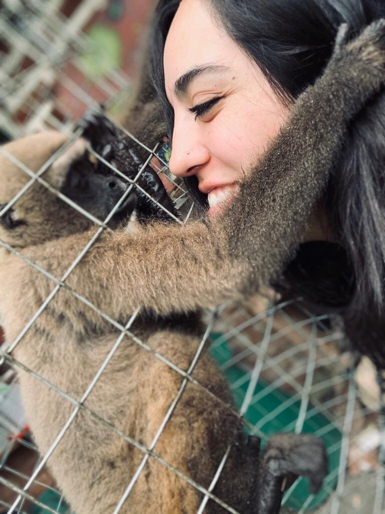 Wildlife Conservation Volunteering In Ecuador Go Overseas Wildlife Conservation Volunteering In Ecuador Go Overseas