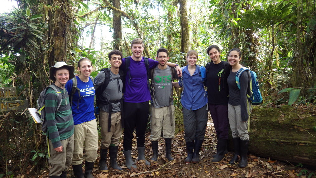 Costa Rica fieldcourse 2014 – Harvestmen