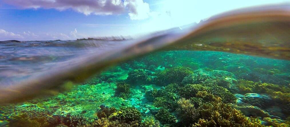 school rowing team a most beautiful thing amazon prime