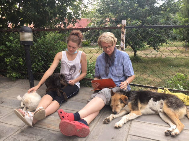 Dog Rescue Program in Nepal Go Overseas