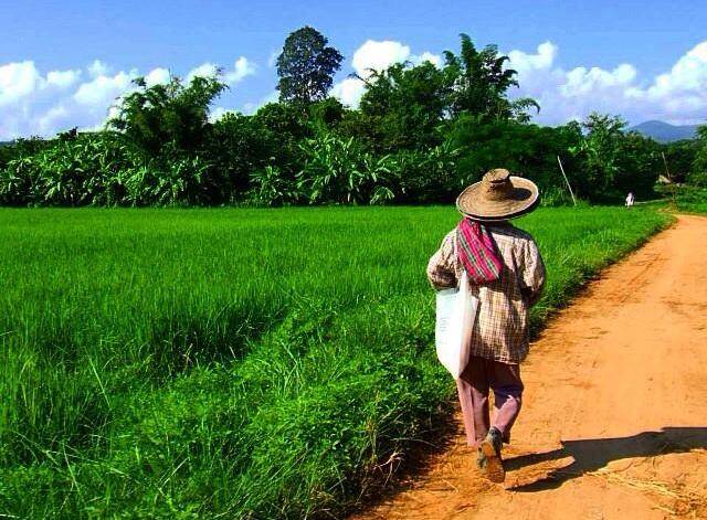 What A Gap Year Really Is