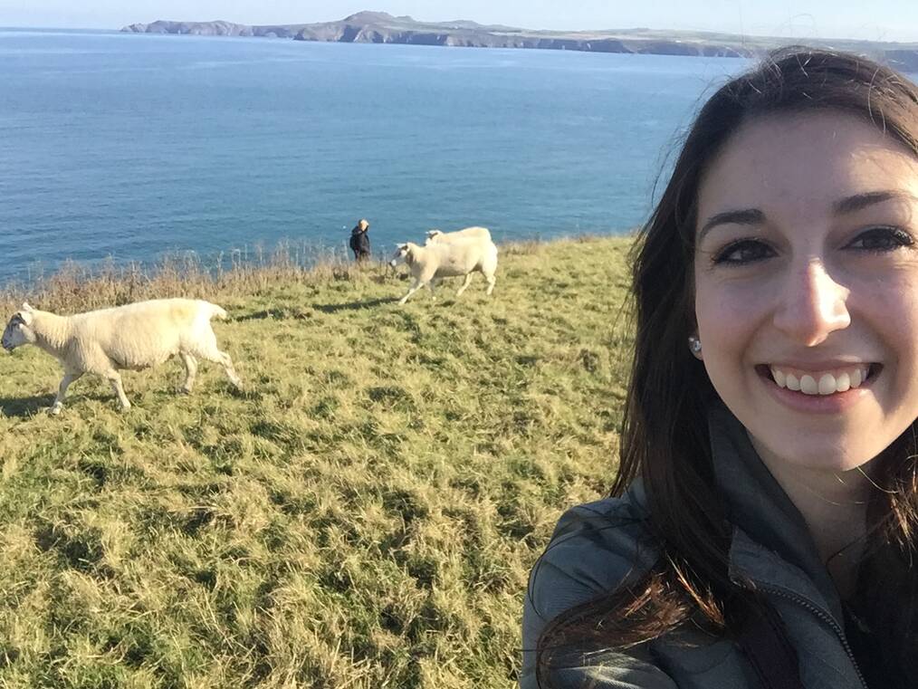 woman taking a selfie smiling by the sea with sheep in the background