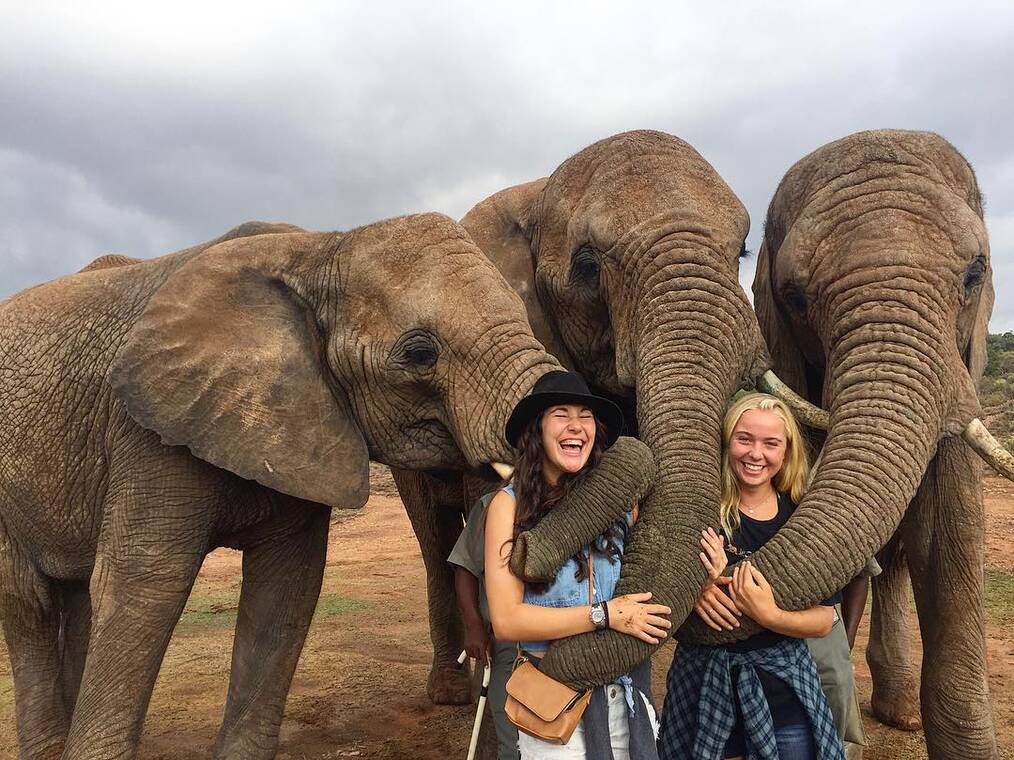 People You Meet On Your Gap Year: The Magnetic Attraction