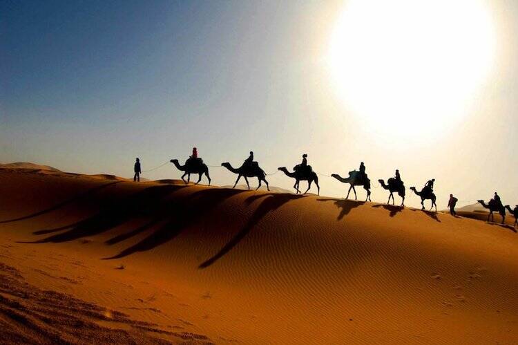 Everything You Need to Know about Studying Abroad in Morocco