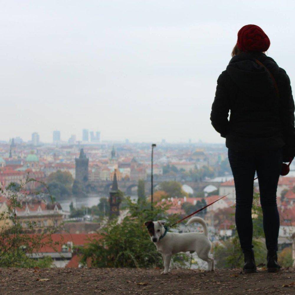 Why Interning Abroad is an Exciting Opportunity