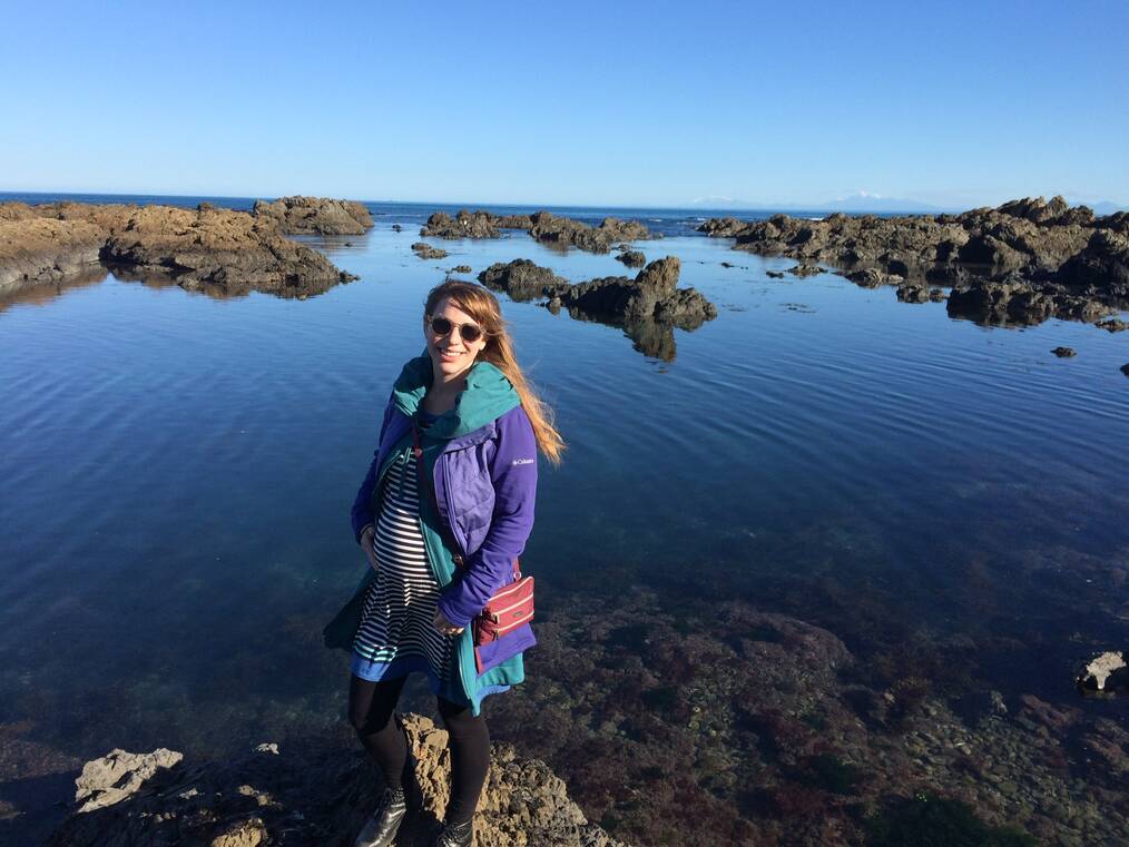 Why You Should Pursue Your Graduate Degree in New Zealand