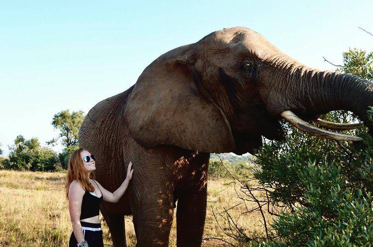 Gap Year Ideas for Your First Year After College: Nature & Wildlife Programs