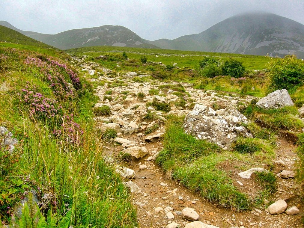 Photo by IrishFireside via Flickr Irish Cultural Experiences - Croagh Patrick