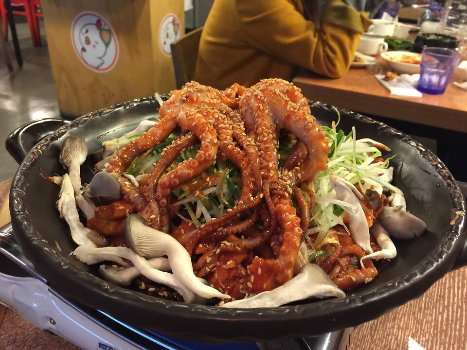 Must-Try Foods & Drinks While Studying Abroad in South Korea: Nakji Bokkeum