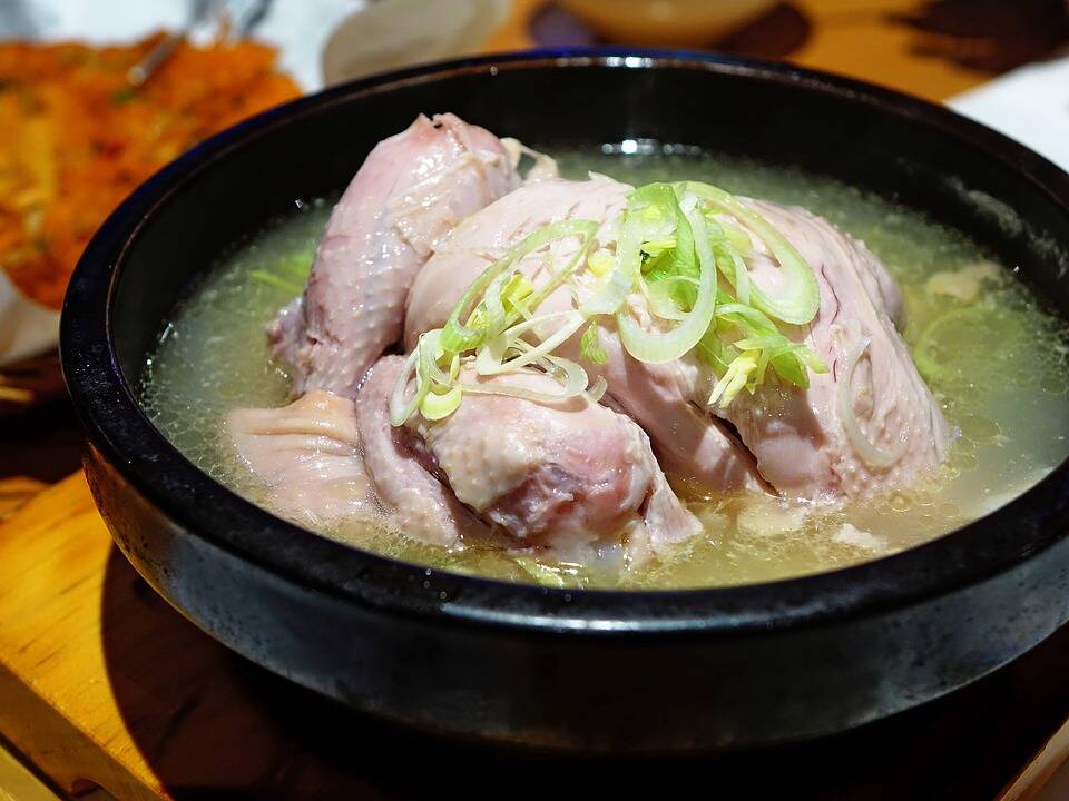Must-Try Foods & Drinks While Studying Abroad in South Korea: Samgyetang