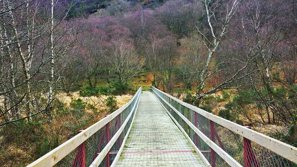 Day & Weekend Trips While Studying Abroad in Dublin: Wicklow Mountains