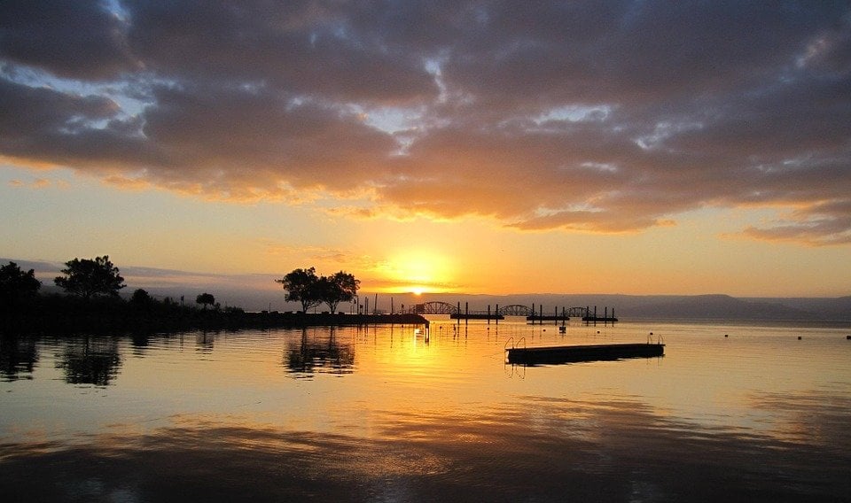 Everything to Know about Volunteering on a Kibbutz: What is it like?