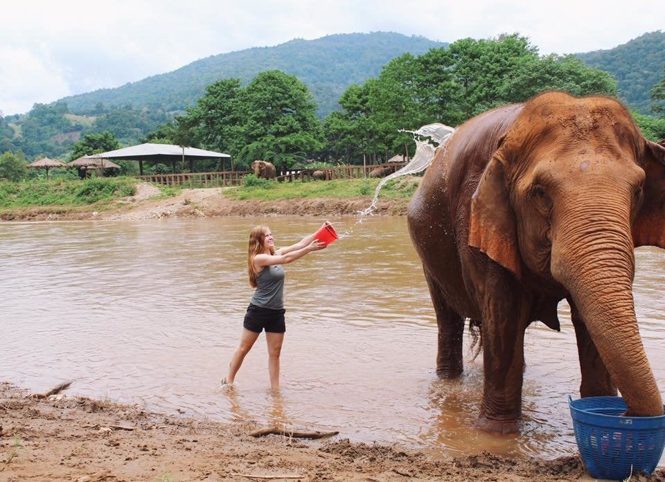 Photo by: Summer F., Elephant Bonus Week Thailand Alum How to Put Your Gap Year on Your Resume: It's All About Your Tone