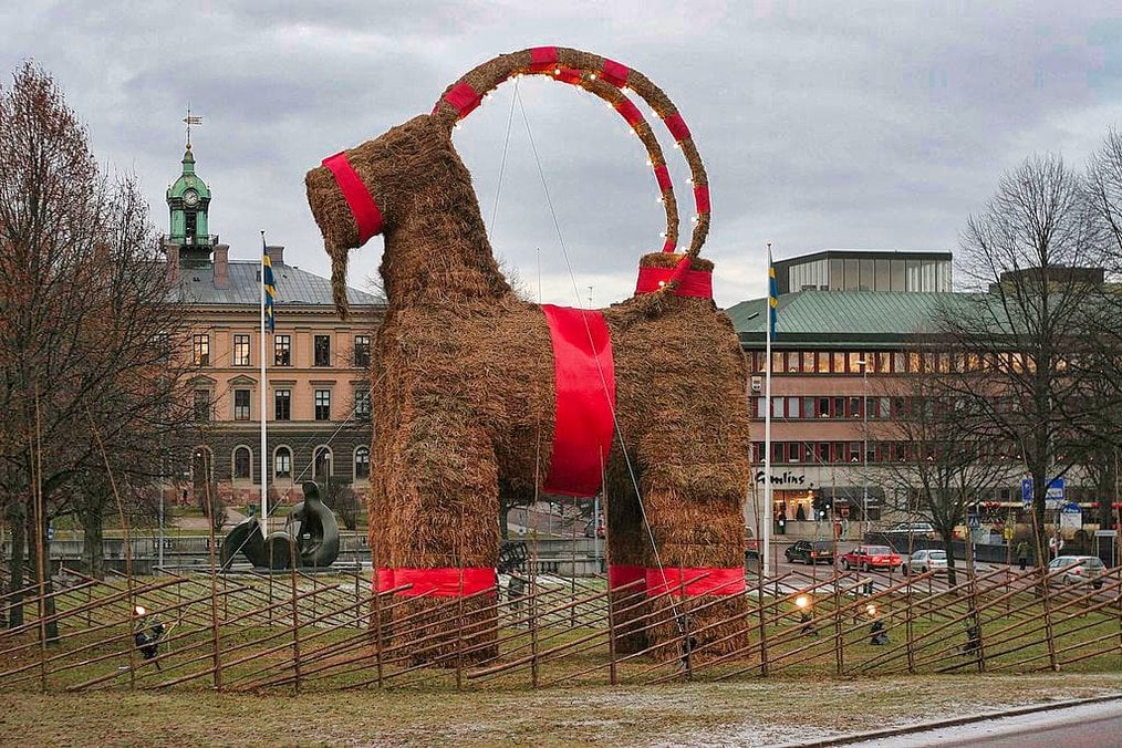 Photo credit: Stefan via Wikimedia Commons Where to Study in Sweden - Galve - Goat by Stefan via Wikimedia Commons