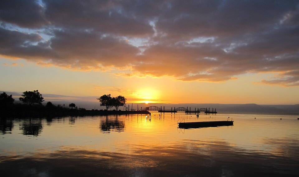 Everything to Know about Volunteering on a Kibbutz: What is it like? 