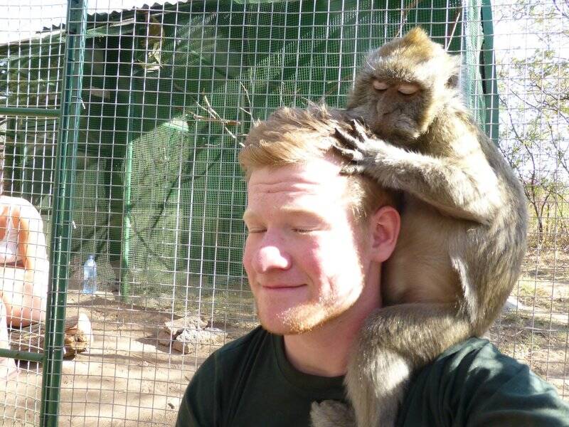 Where in the World to Volunteer with Primates
