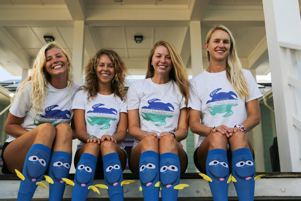 Creative Ways You Can Volunteer in Marine Conservation