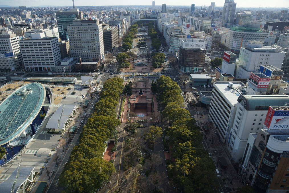 The Best Cities to Teach Abroad in Japan: Sapporo