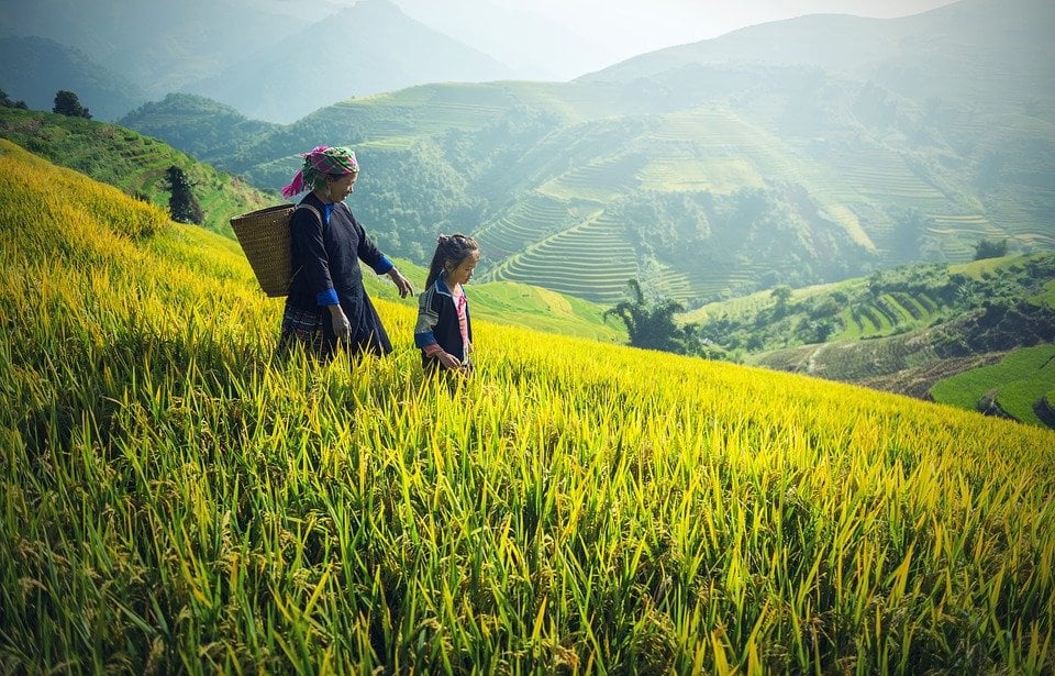 Where & How to Volunteer Abroad for Women's Rights: Cambodia