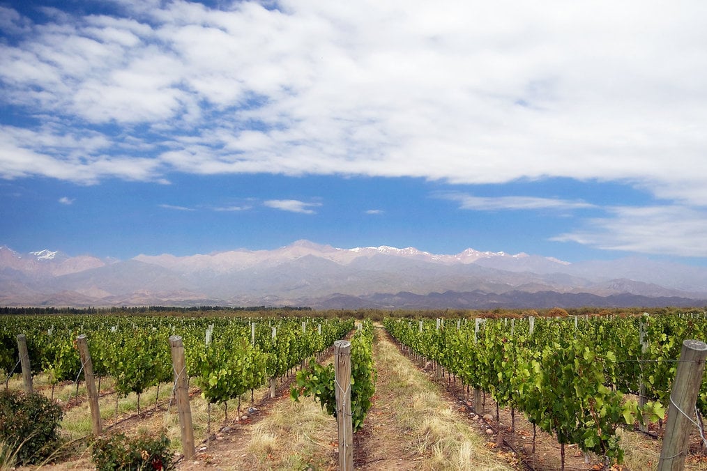 5 Wonderful Weekend and Day Trips from Buenos Aires: Mendoza