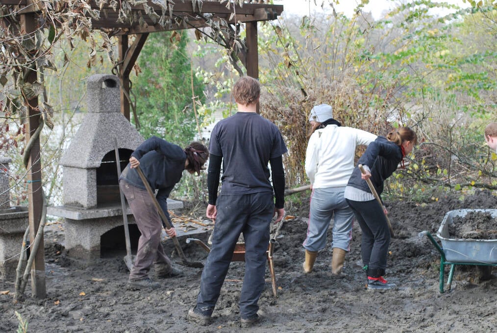 What's the Difference Between Service Learning and Volunteering?