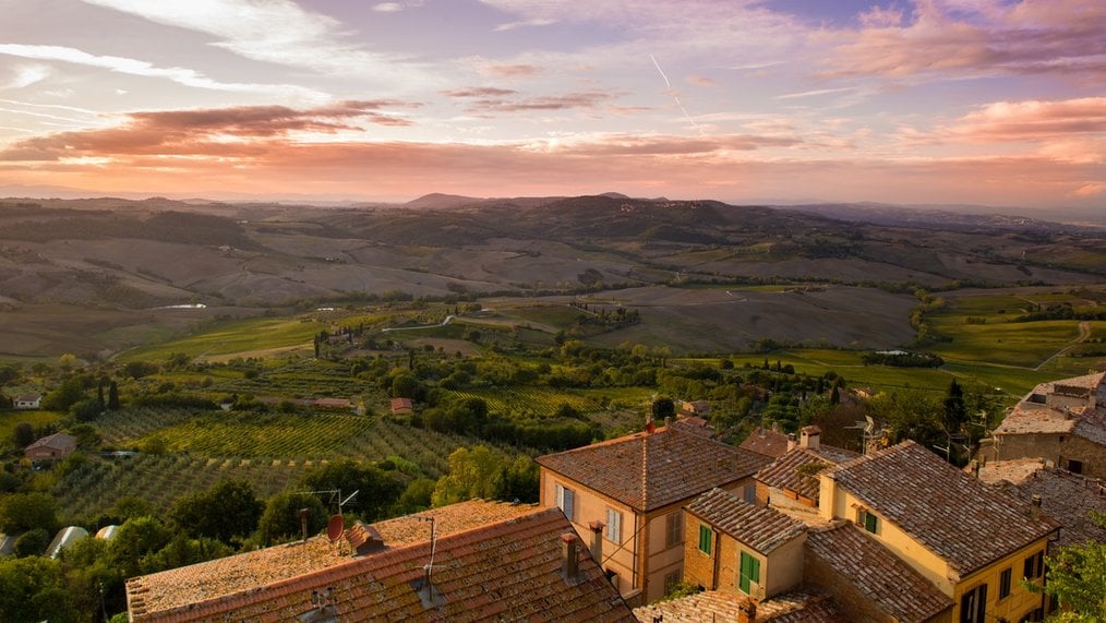 Photo credit: Łukasz Czechowicz via Unsplash Top 5 Countries to WWOOF on a Vineyard: France