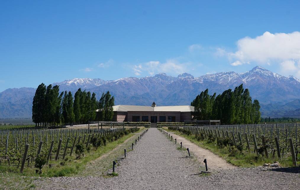 Top 5 Countries to WWOOF on a Vineyard: Chile & Argentina