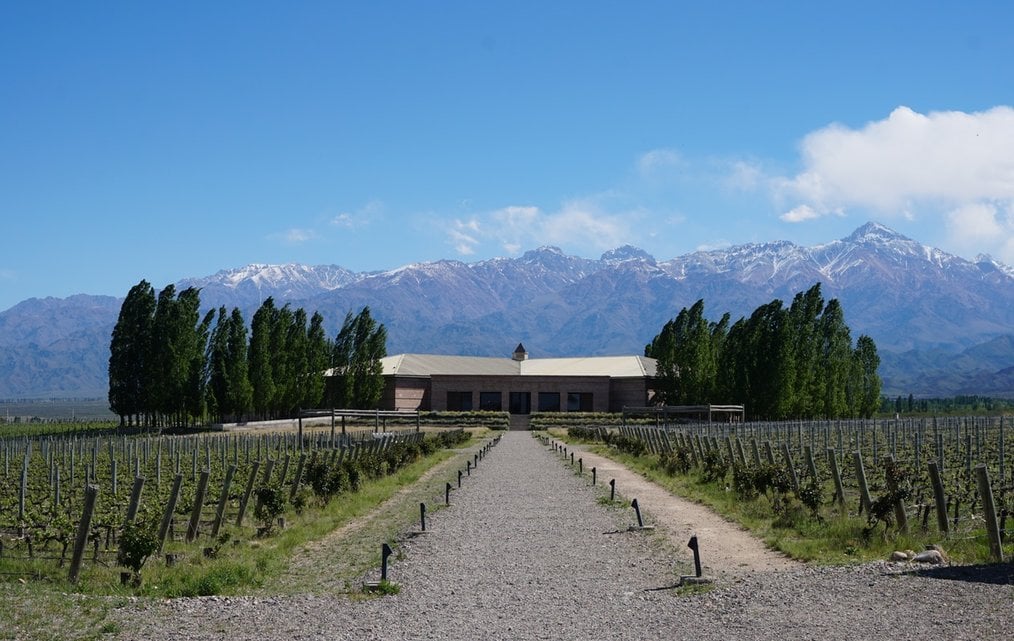 Photo credit: Matt Broch via Unsplash Top 5 Countries to WWOOF on a Vineyard: Chile & Argentina