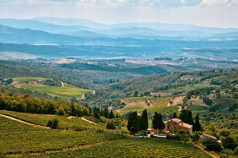 Top 5 Countries to WWOOF on a Vineyard: Italy