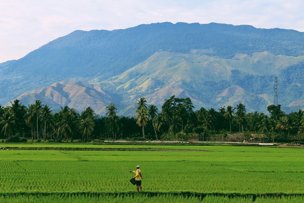 Tutto sul WWOOF