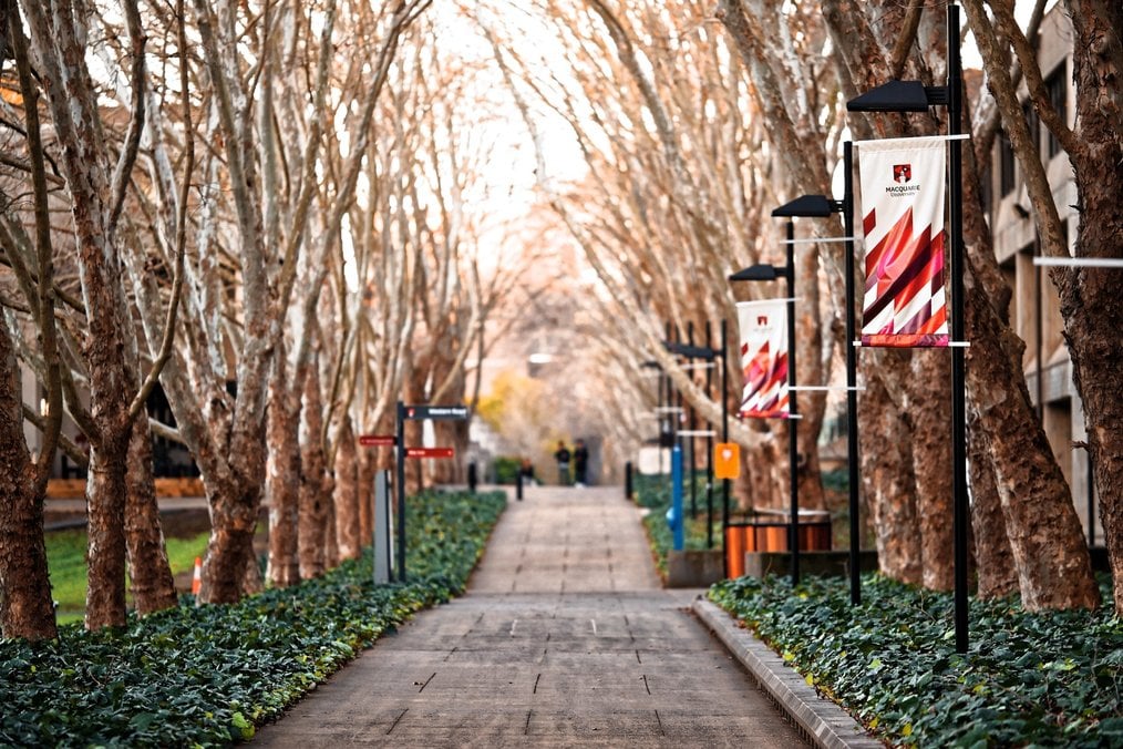 Photo credit Fidel Fernando via Unsplash Should I Study Abroad in the Fall or Spring?: Beware of FOMO