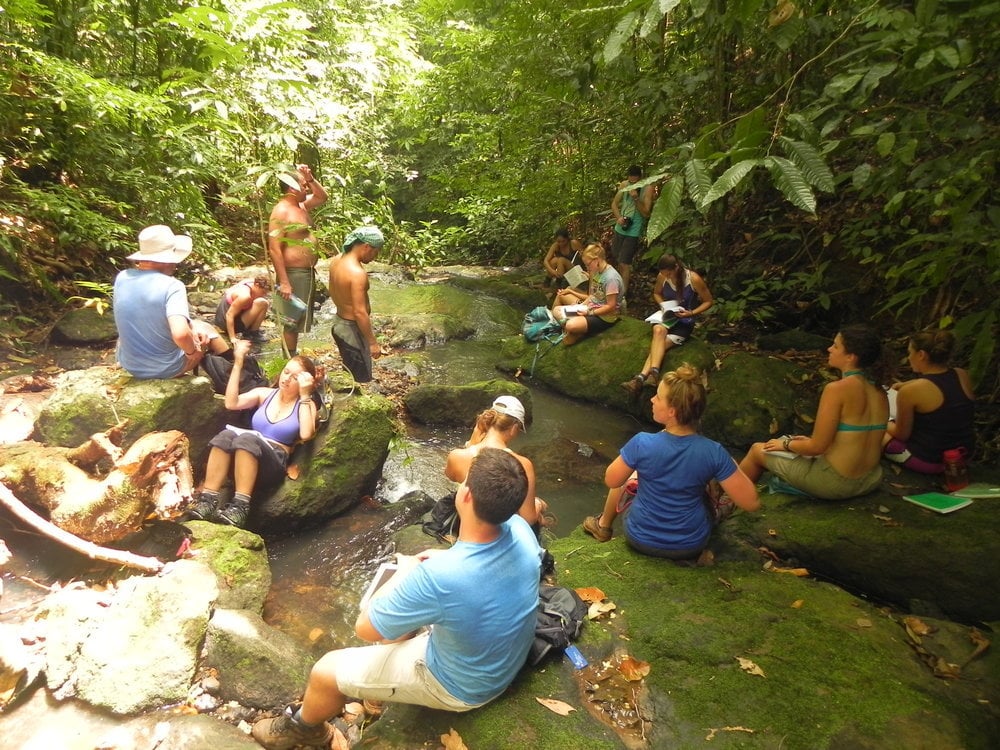 Photo by Lauren S., CIEE Tropical Ecology + Conservation in Monteverde Alum CIEE: Tropical Ecology + Conservation in Monteverde