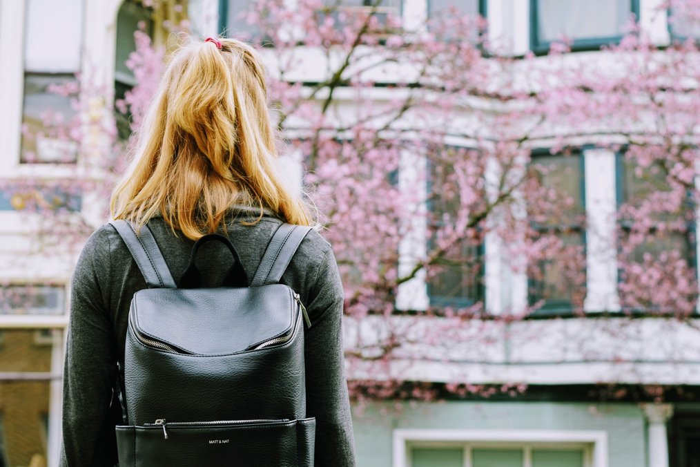 Photo credit: Tim Gouw via Unsplash Should I Study Abroad in the Fall or Spring?