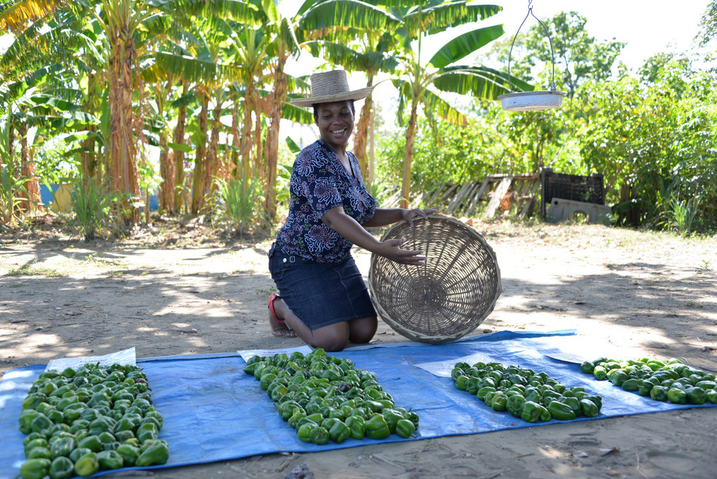 Photo credit: Susana Secretariat via Flickr Where in the World to Volunteer in Reforestation Efforts: Brazil