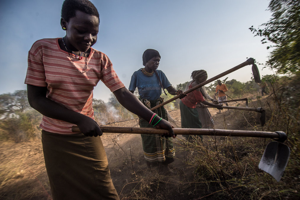 Photo credit: Trocaire via Flickr Where in the World to Volunteer in Reforestation Efforts: Uganda