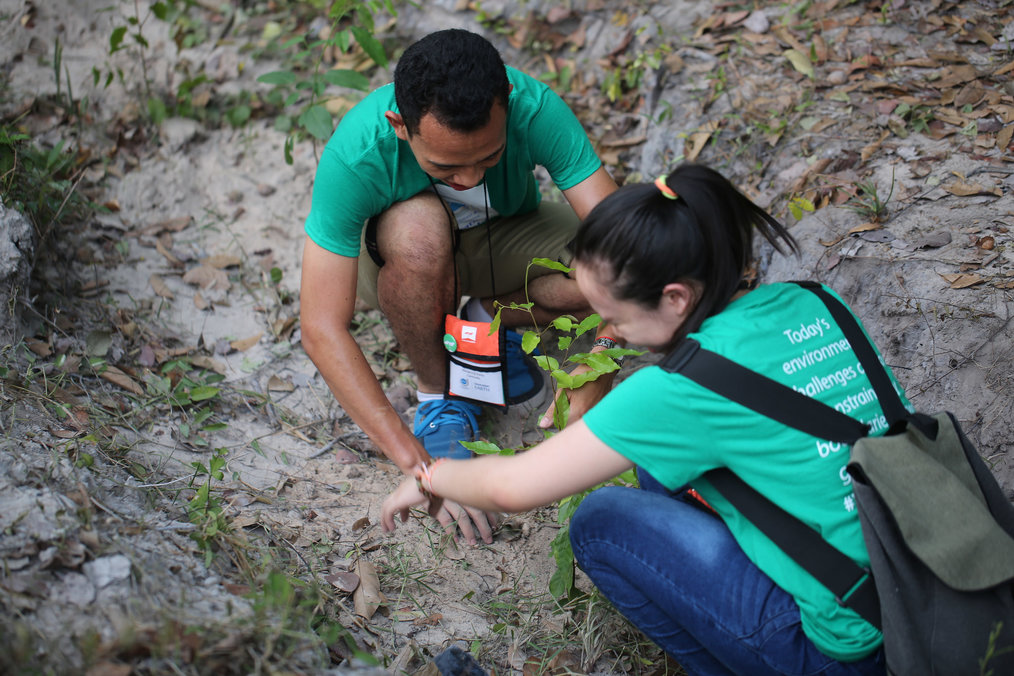 Photo credit: U.S. Embassy Phnom Penh via Flickr Where in the World to Volunteer in Reforestation Efforts
