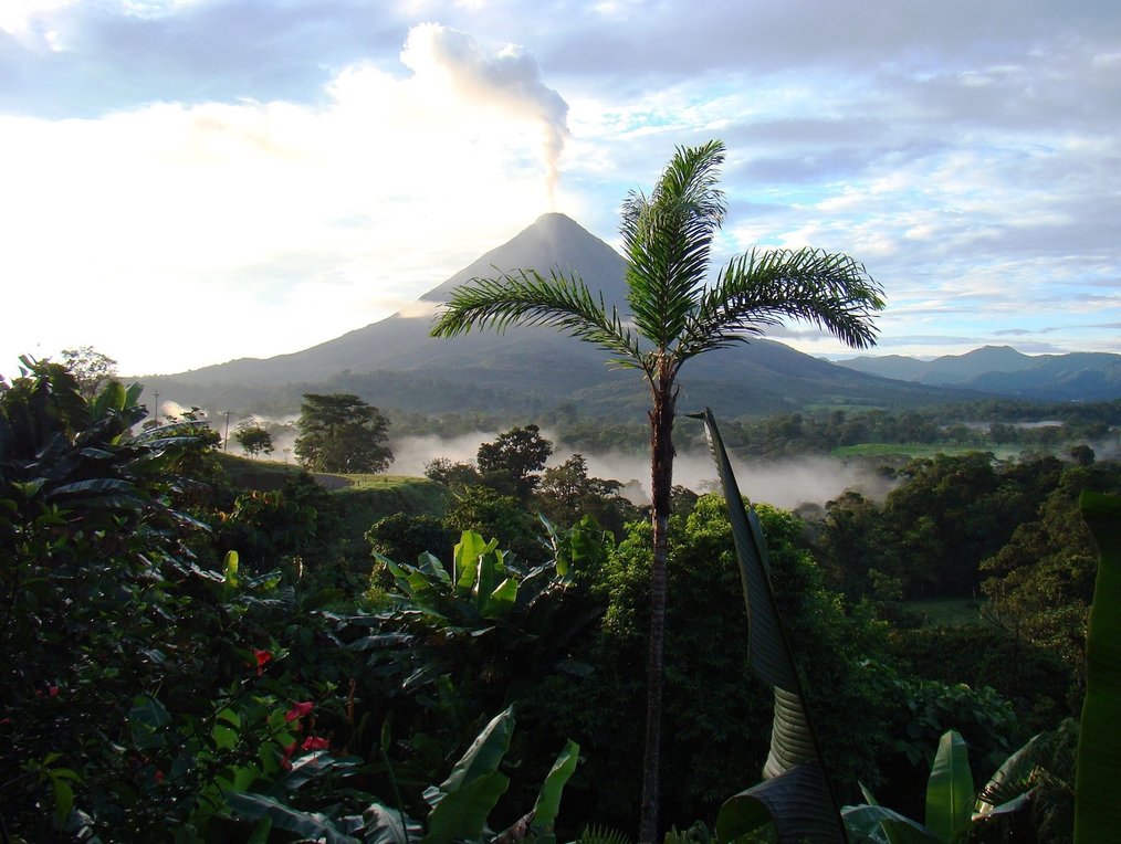 Forest in Costa Rica