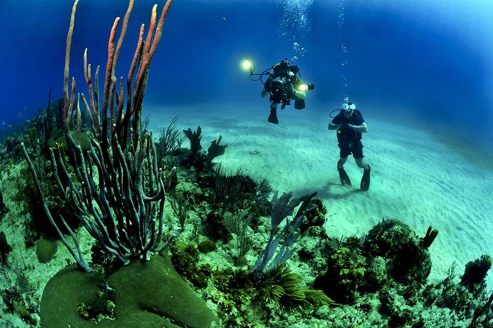 What to Do on Your Gap Year in Australia: Great Barrier Reef