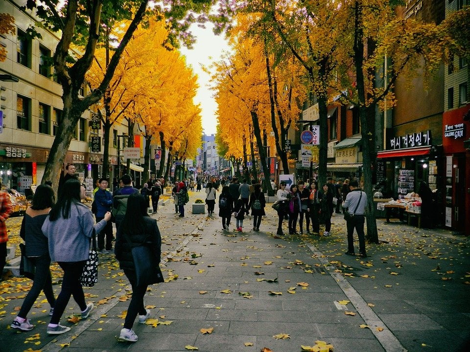 What to Know About Language Fluency & Proficiency Tests: Korean