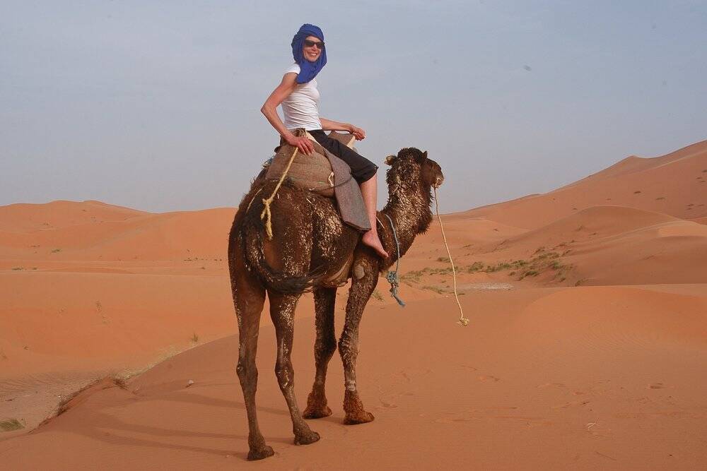 Can You Study Abroad Senior Year of College?: Senior Study Abroad