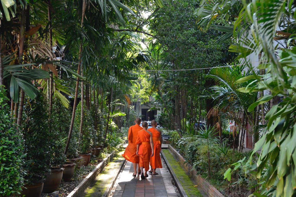 Photo by Kasondra, USAC Thailand Alum Where in the World to Volunteer in Social Work: New Zealand