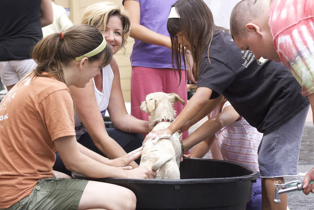 The Pros and Cons of Volunteering Abroad With a Local Organization: Volunteer