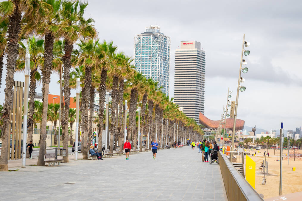 Where to Go on a Gap Year in Spain: Barcelona