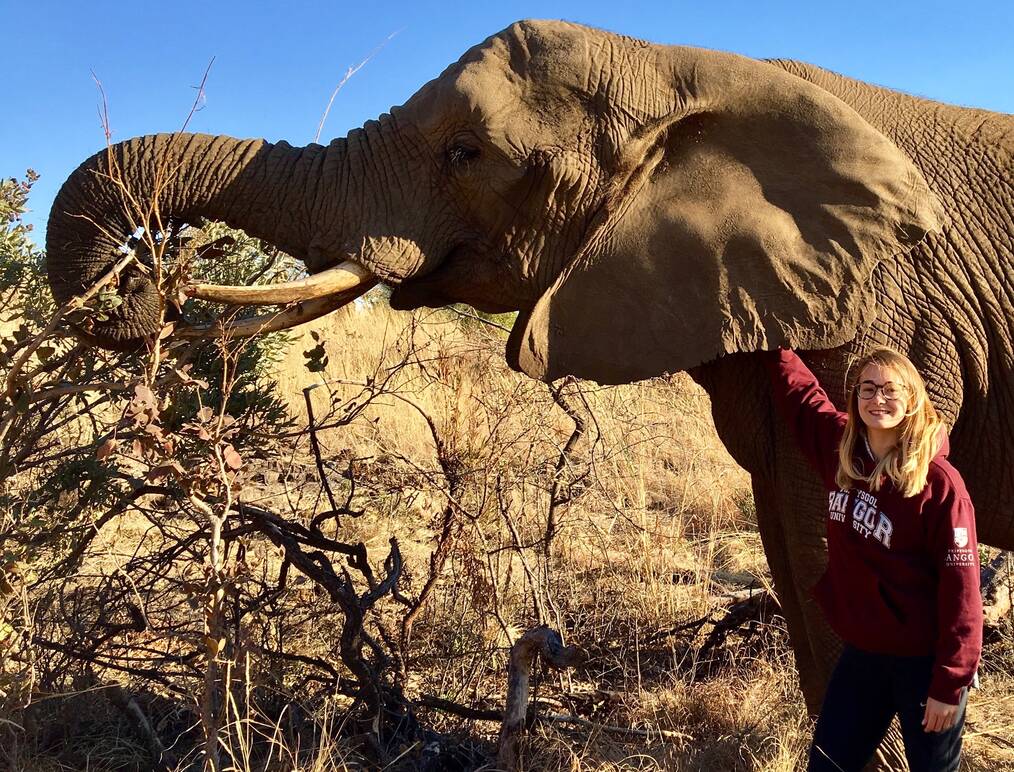 How to Take a Gap Year During High School: Find Your Perfect Program