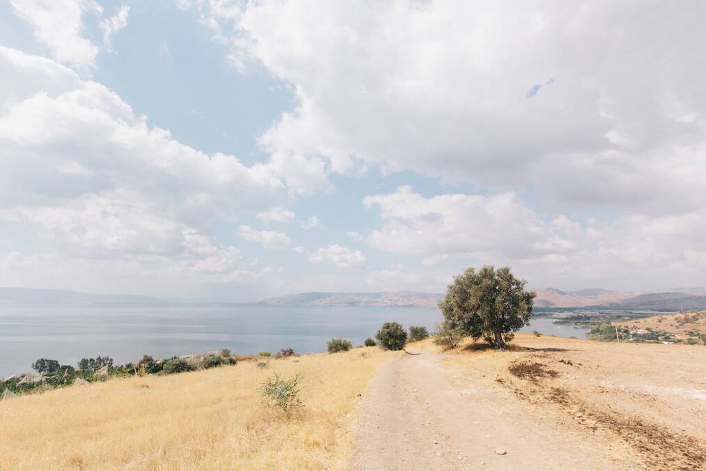 The Top Types of Volunteer Opportunities in Israel: Kibbutz