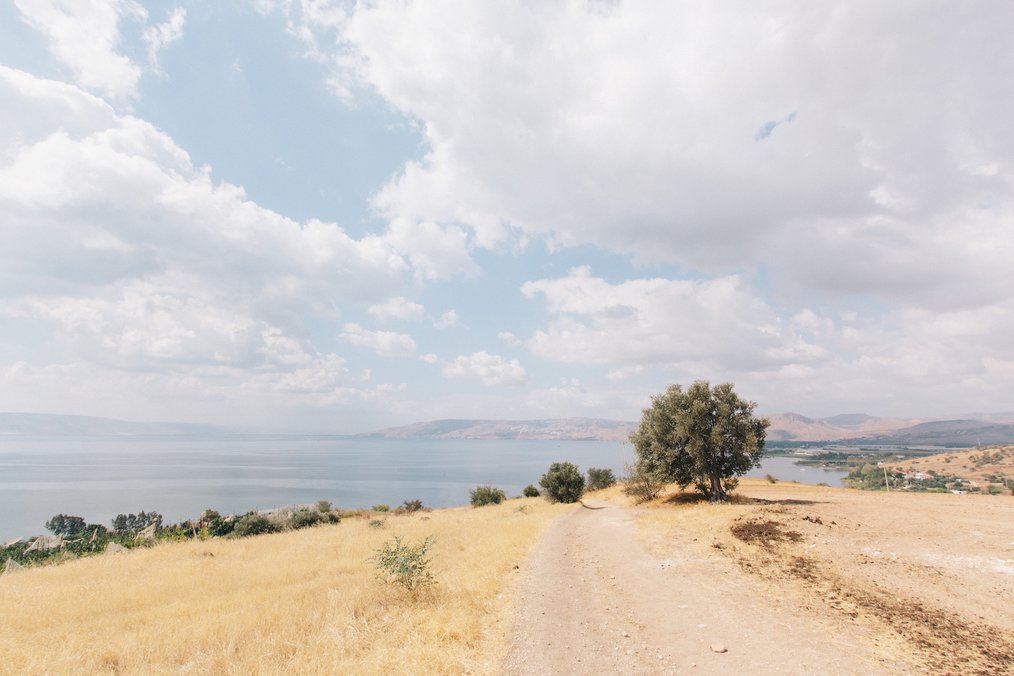 The Top Types of Volunteer Opportunities in Israel: Kibbutz