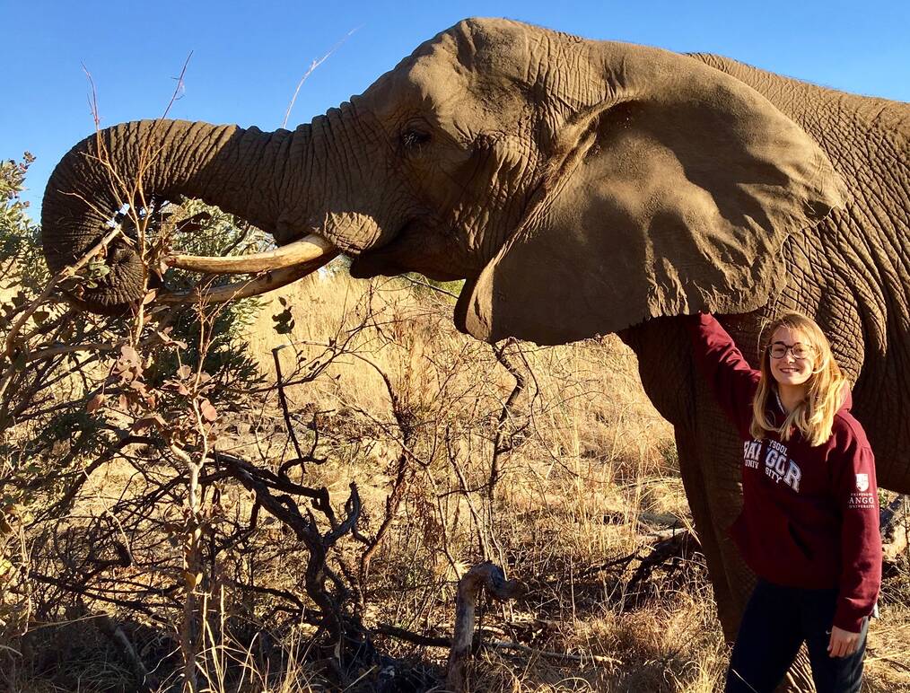 How to Take a Gap Year During High School: Find Your Perfect Program